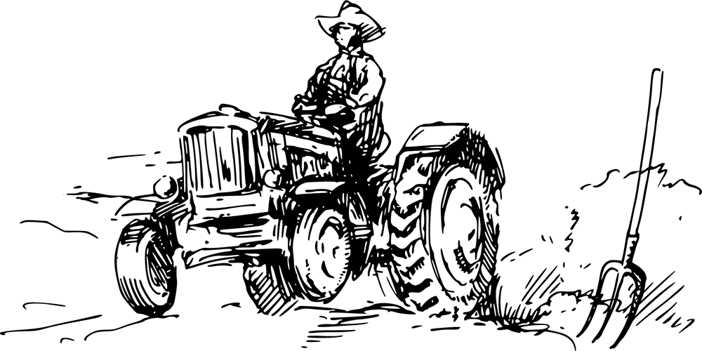 spacetreeleaves.com